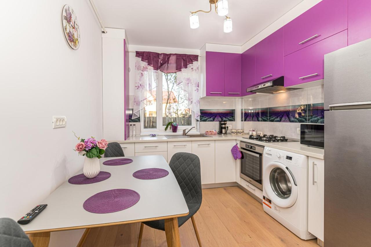 Apartamente Lavender Brasov Exterior photo