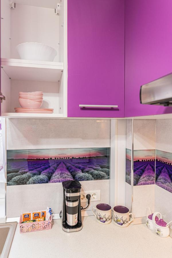 Apartamente Lavender Brasov Exterior photo